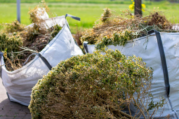 Best Yard Cleanup Services  in Westmont, PA